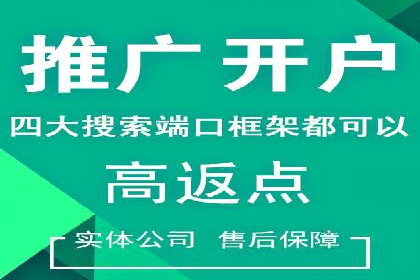 SEM运营公司成功案例解析